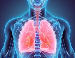 Respiratory Health Supplement